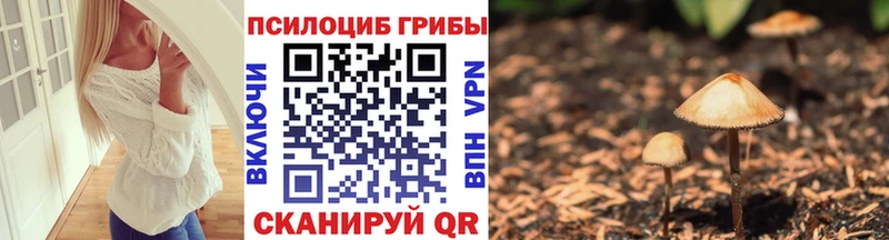 Галлюциногенные грибы Psilocybe  Купить  Барнаул 